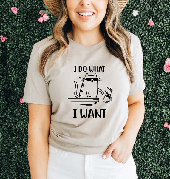 Not Today Satan Shirt Funny T-Shirt Nope Not Today Not Today Satan Shirt Funny T-Shirt Nope Not Today