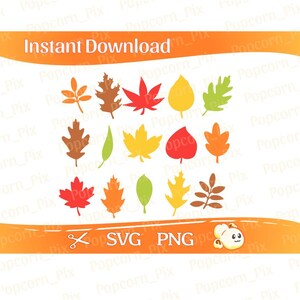 May include: A digital collection of fifteen distinct autumn leaf illustrations in shades of red, orange, yellow, brown, and green. The graphic set includes various foliage shapes such as maple, oak, and birch leaves, with the text Instant Download, SVG, and PNG.