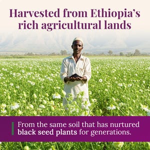 BioNatal Ethiopian Black Seed Oil – Cold Pressed Nigella Sativa Oil, Non-Filtered, 4.64% TQ, Immune Support – 4.2 Oz Free Shipping image 7