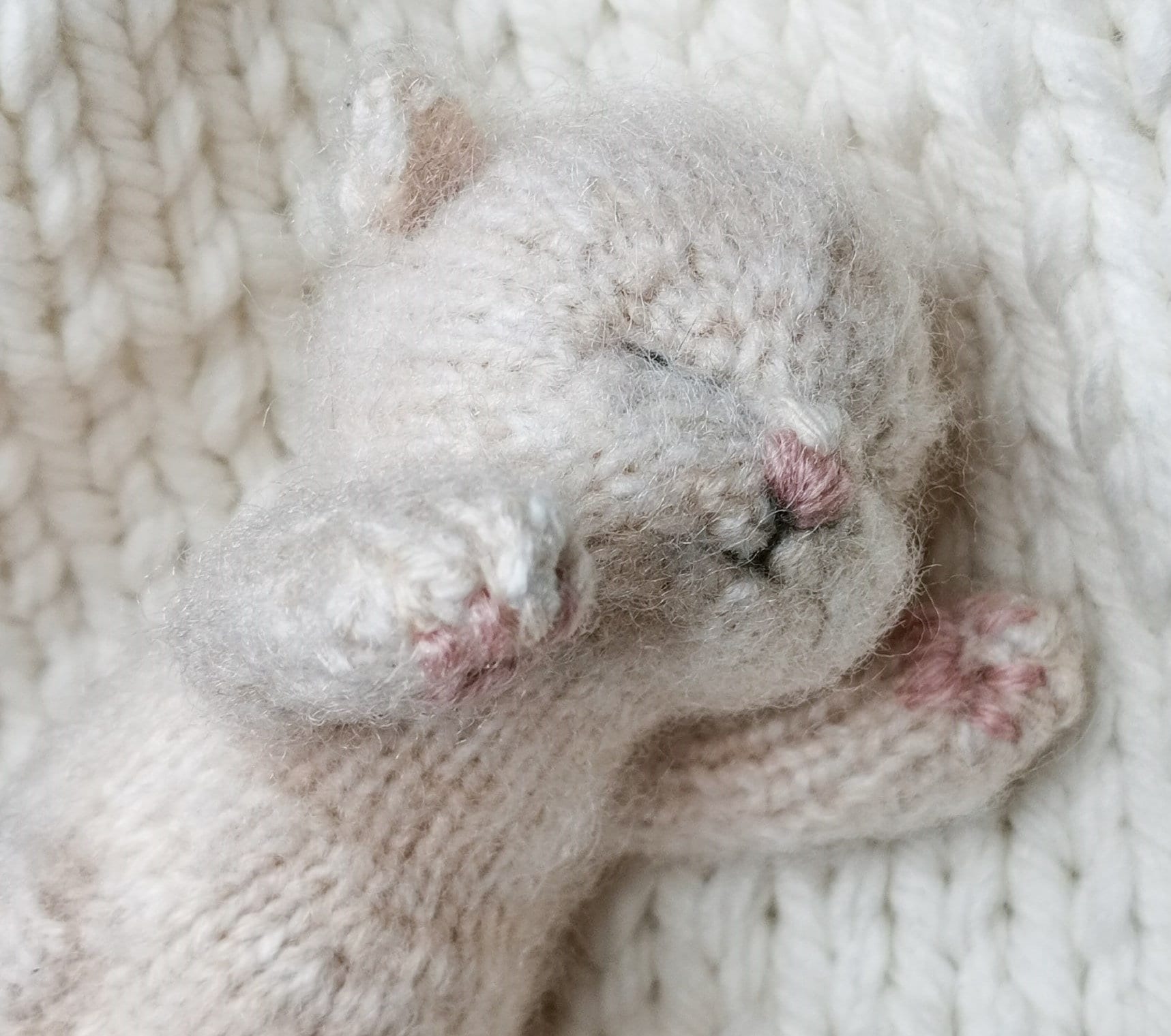 Realistic cat pattern Knitting toy pattern Amigurumi kitten Etsy