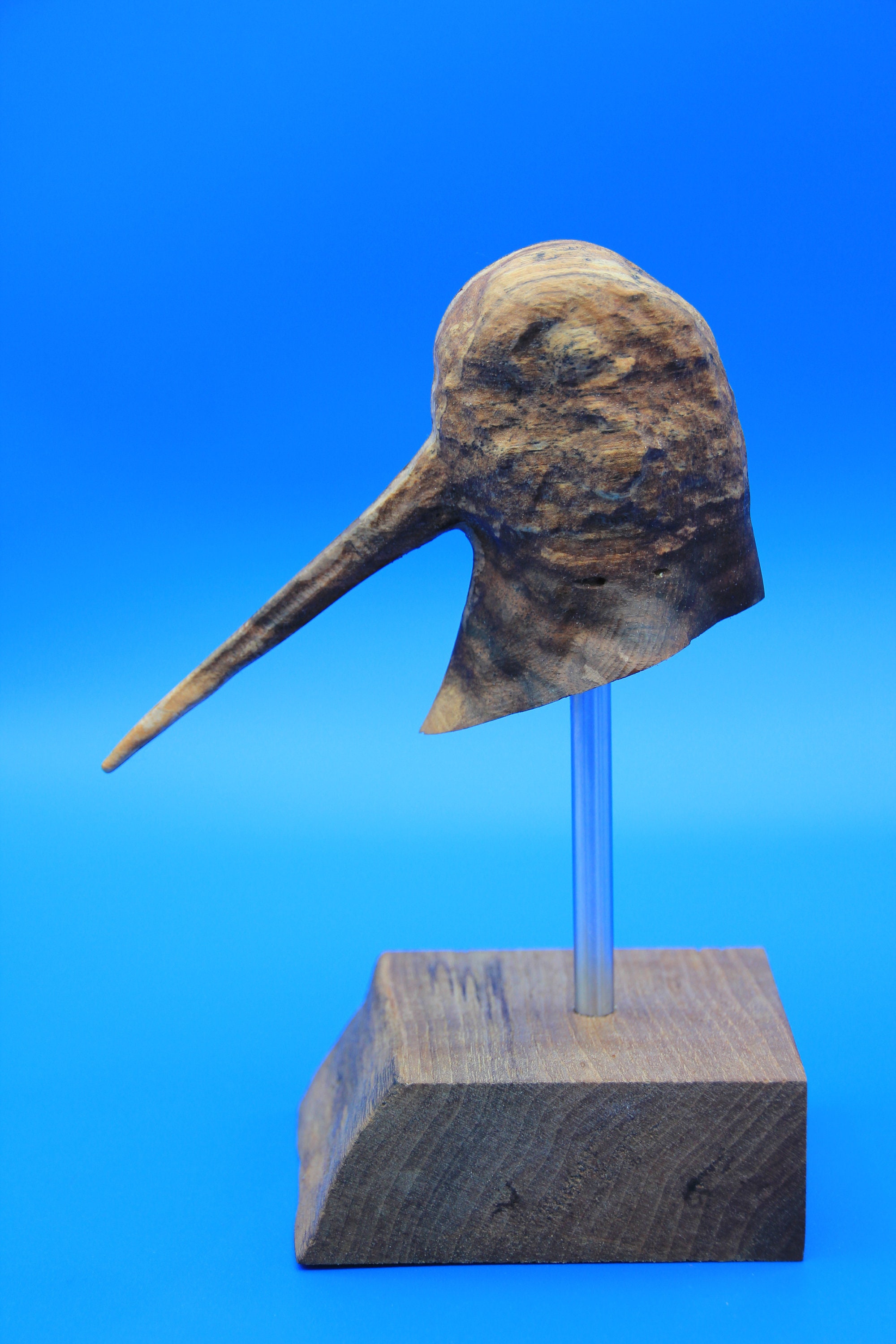 Tête de Bécasse en Chêne