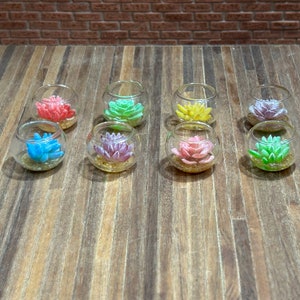 Beautiful real glass jars with hydroponic plant simulants, offered in 2 models and 4 colors to choose from. 13406-07-08-09-10-11-12-13.