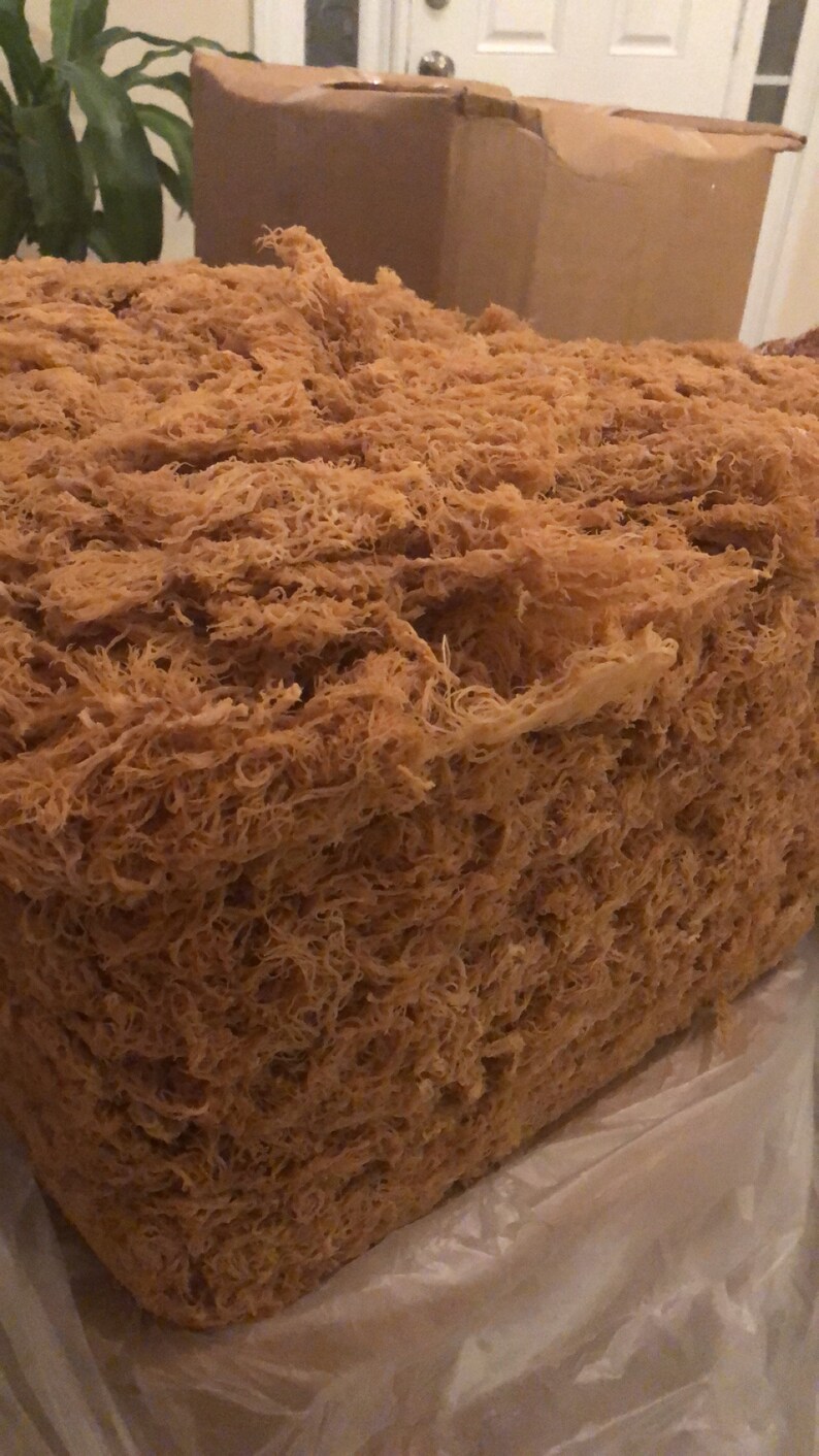 Start your own sea moss business st Lucian sea moss Etsy