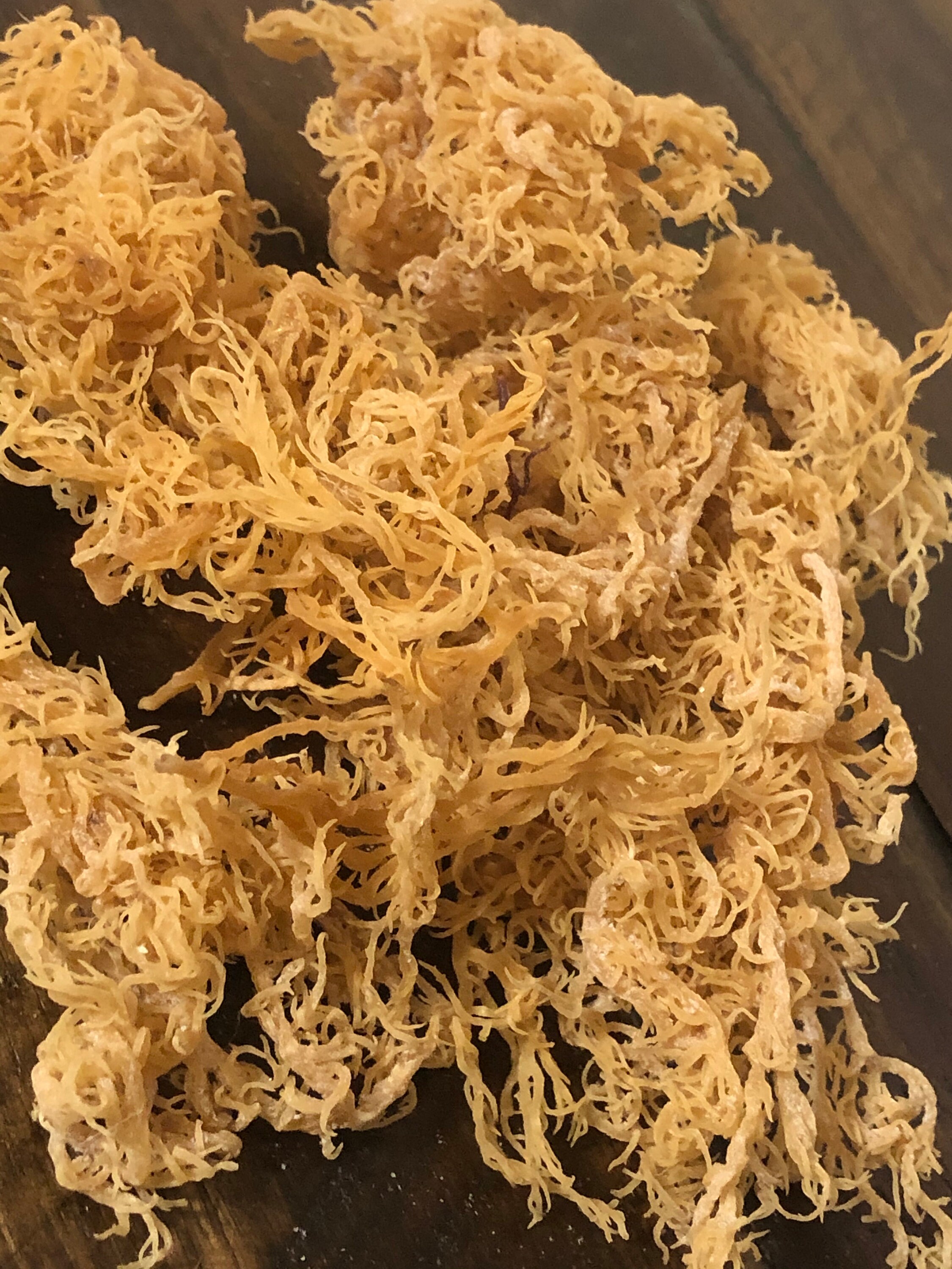 1100 lbs Bulk Saint Lucia Irish Sea Moss Gold We BEAT