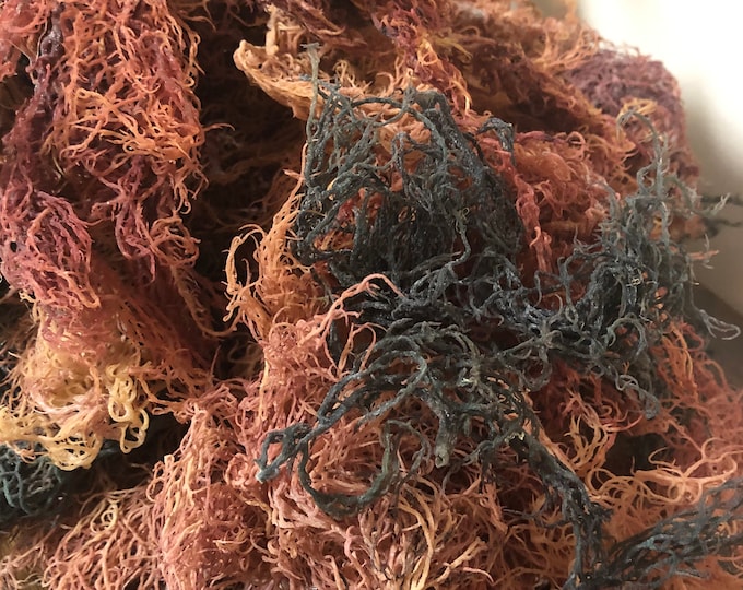2 1/2- 100 lbs St Lucian "Irish" Sea Moss- Full spectrum- We BEAT ANY PRICE- Wildcrafted Sea Moss from the rocks #1 Sea Moss distibutor