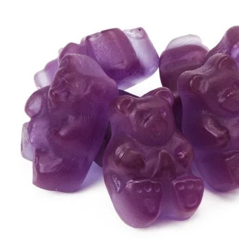 Elderberry Gummy Kit ALL VEGAN Organic Agar Powder gelatin Etsy