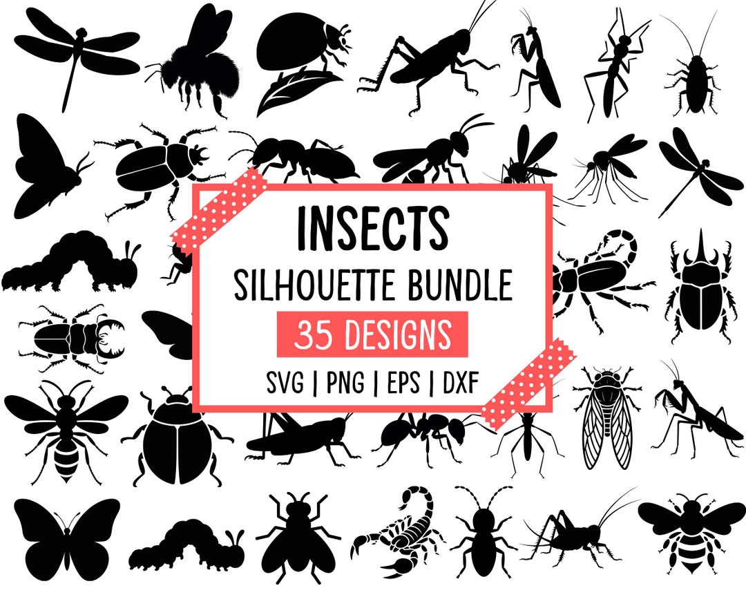 Insects Racing Svg Insects SVG Bundle: 35 Silhouette Designs (digital Download) - Etsy