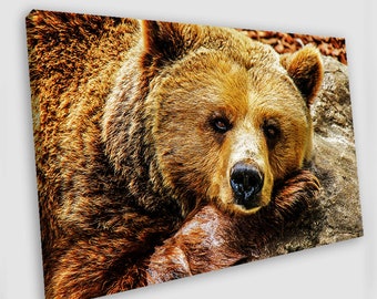 Grizzly Picture Gray Snowy Mountain Woodland Animals Wildlife Decor Bear Decorations for Cabin Nursery Living Room Bathroom Office Ready to Hang 24 x 16 Kunstorner Bear Pictures Canvas Wall Art