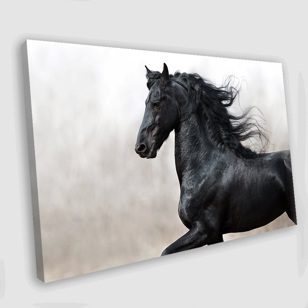 Black Horse for sale 93 ads for used Black Horses