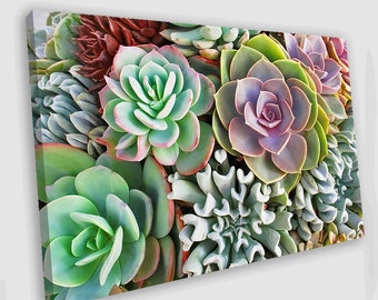 Succulent painting | Etsy