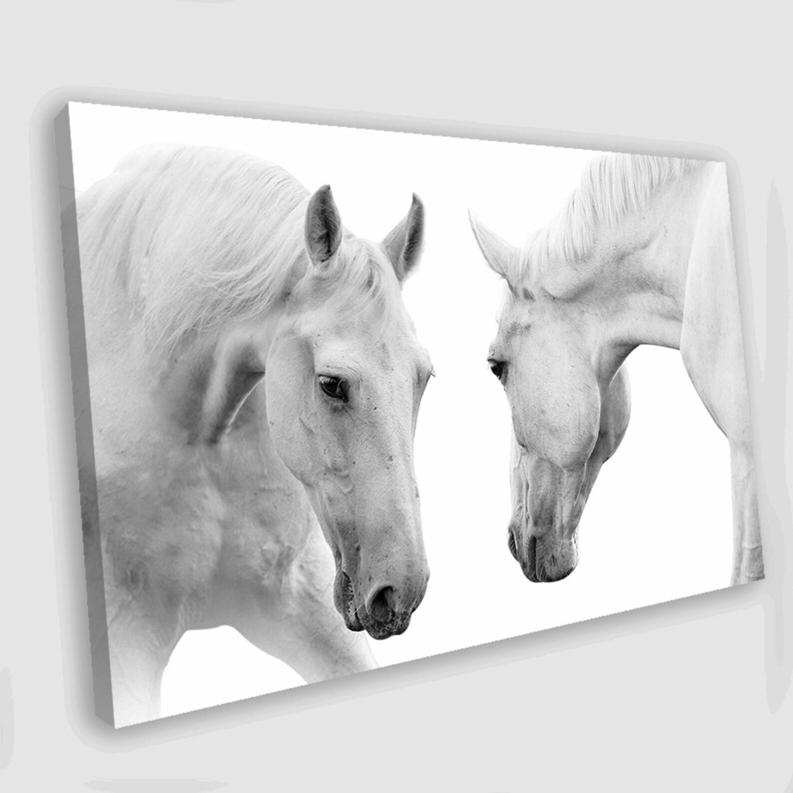 White Horse Canvas Art Horse Wall Art Horse Wall Decor Animal Etsy