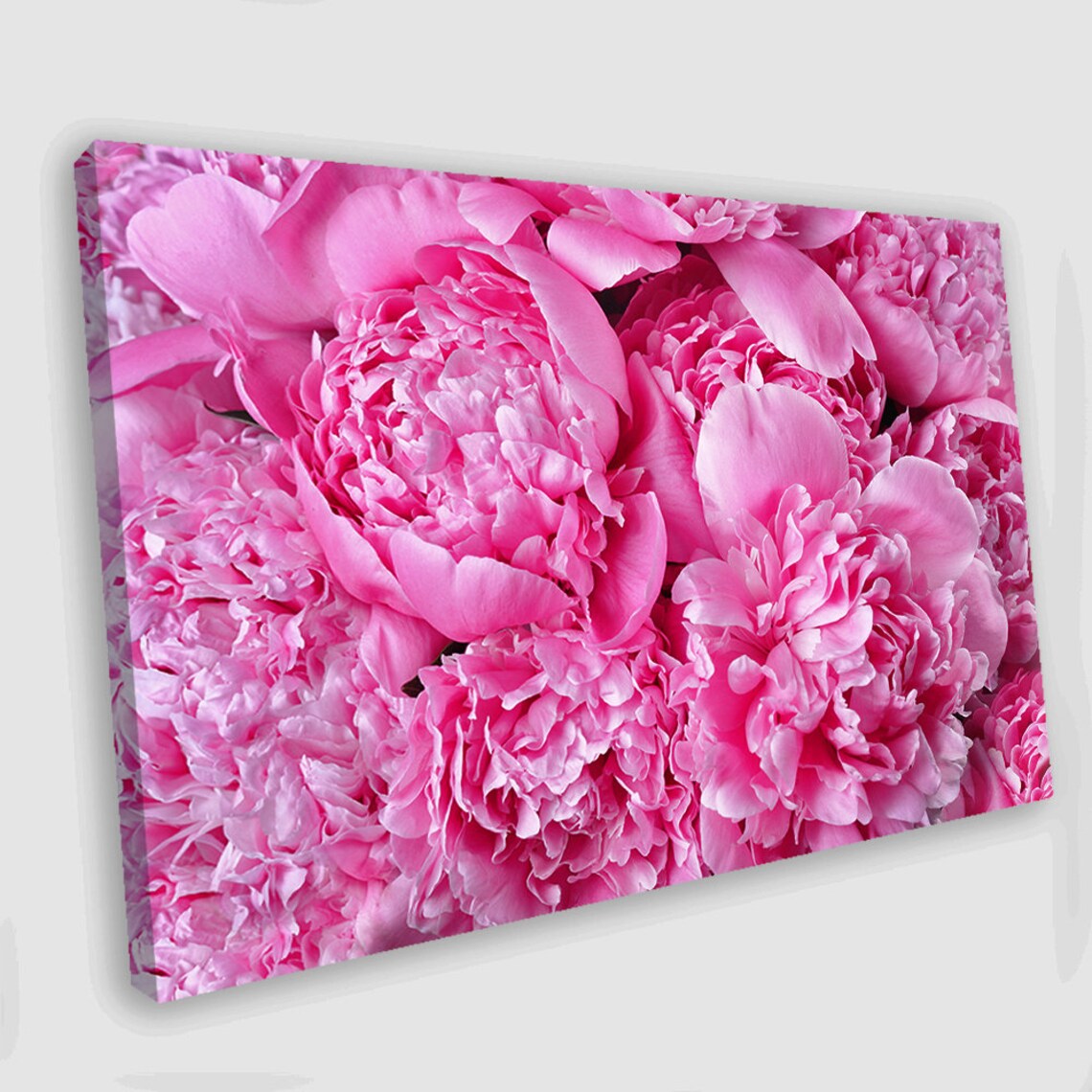 Peony Wall Art Peony Painting Peony Canvas Art Peony Wall Etsy