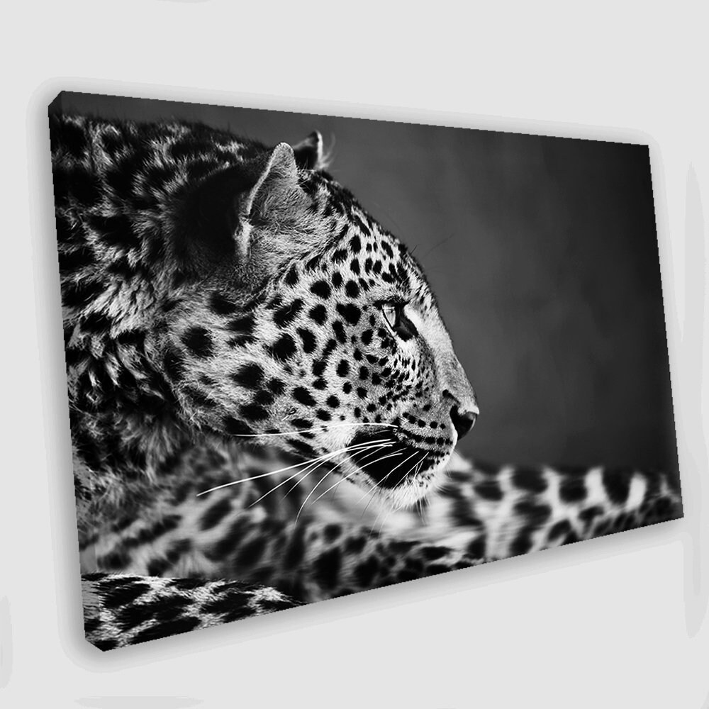 Leopard Canvas Print Leopard Wall Decor Jaguar Print Animals Etsy