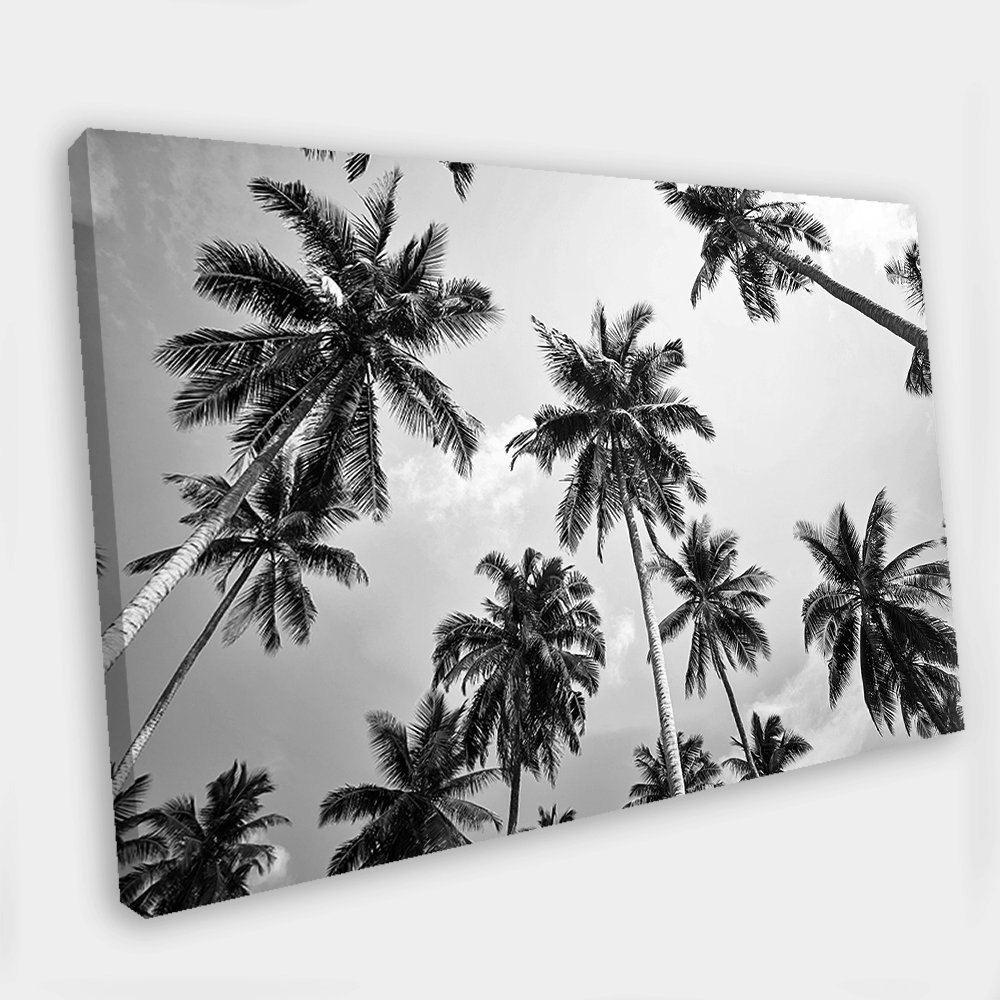 Palm Canvas Art Palm Trees Wall Art Palm Canvas Palm Photo Etsy