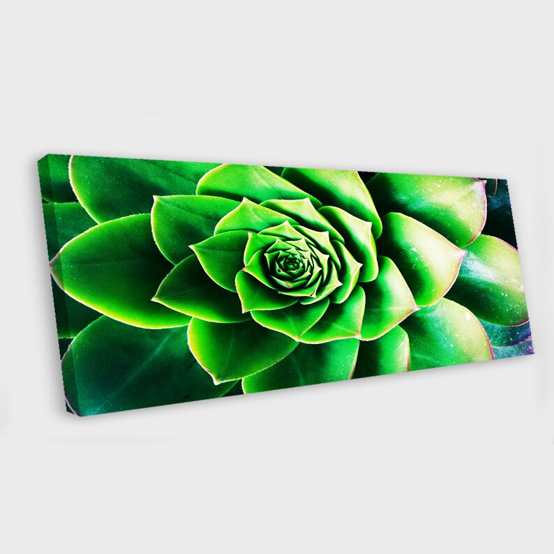 Cactus Canvas Art Cactus Wall Art Cactus Panoramic Photo Etsy
