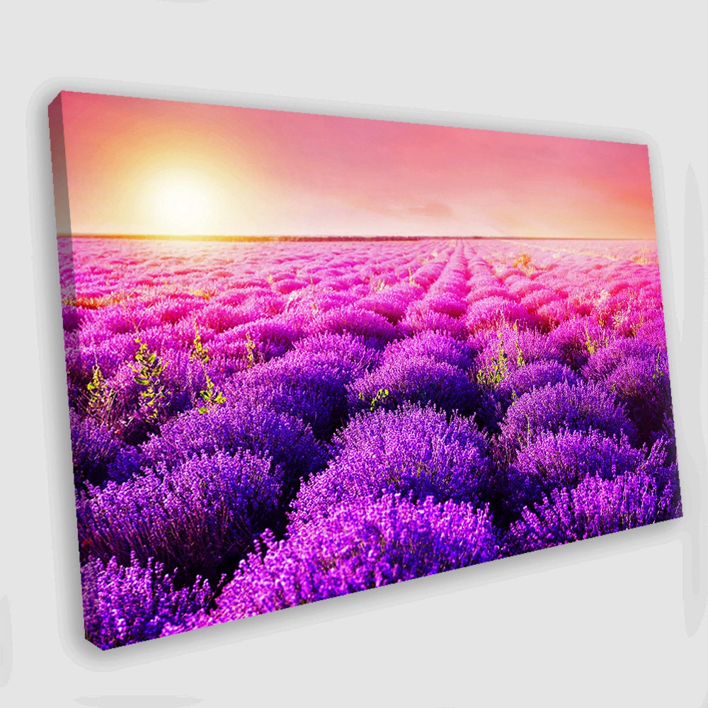 Lavender Field Canvas Art Lavender Canvas Wall Art Sunset Etsy