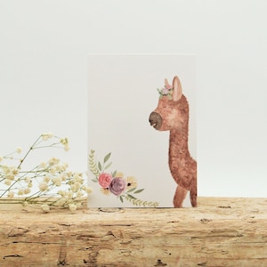 Postkarte Alpaka