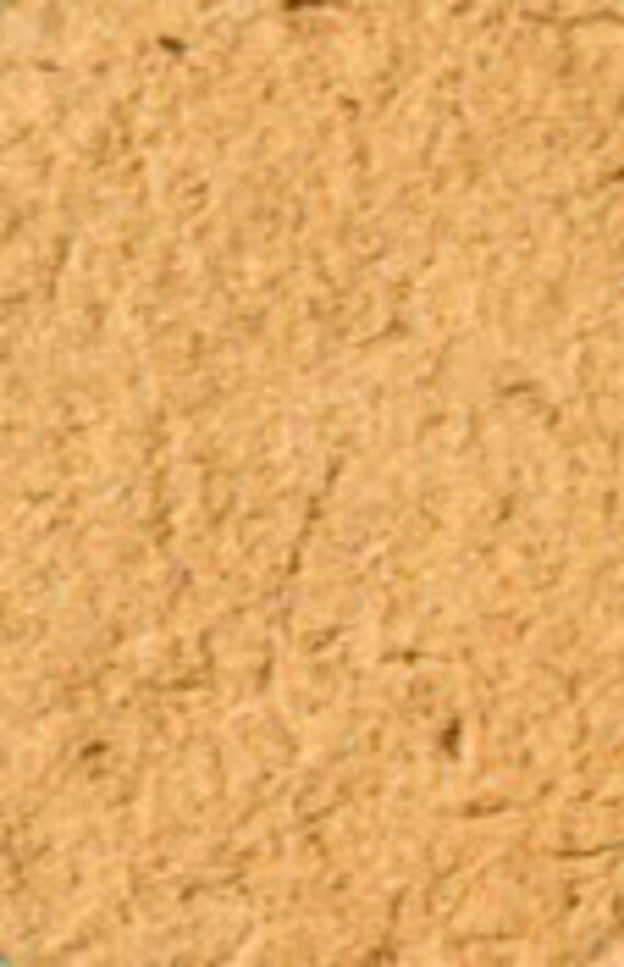 Gingembre en Poudre Bio