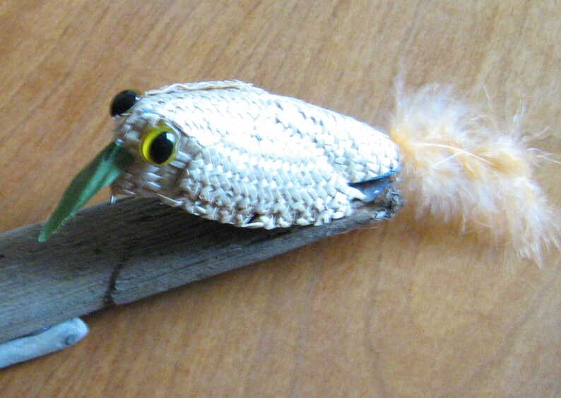Treecreeper Bird on driftwood woven straw