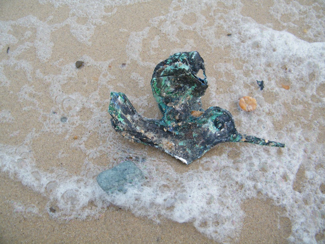 Bird Relic-felixstowe Beach Origins-very Sea Worn . 9 Inches - Etsy UK