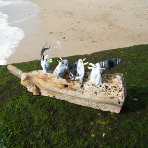 May include: Four small, white, and black bird figurines with yellow beaks are arranged on a piece of driftwood. The driftwood is weathered and has a natural, rustic look. The figurines are positioned as if they are in a boat, with their heads turned towards the viewer.