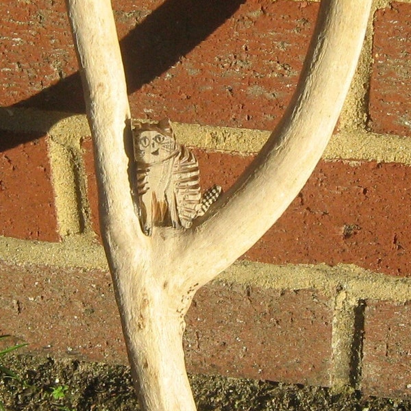 Driftwood tree & cat / hand carving ,sea sculpture. Ocean textures