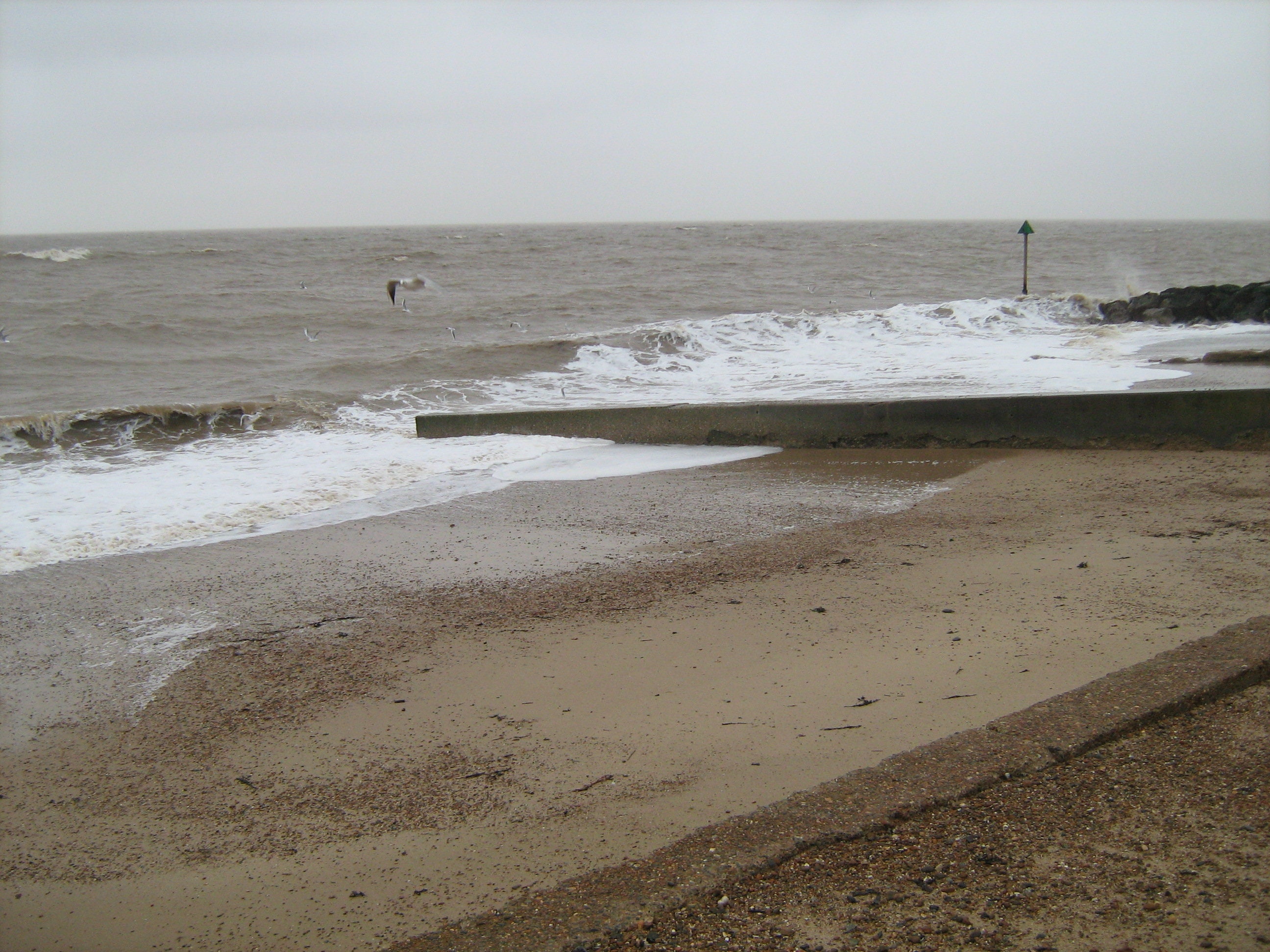 Driftwood Shelves/ Decor From Felixstowe Beachsea Etsy Ireland