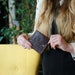 see more listings in the billetera mujer section