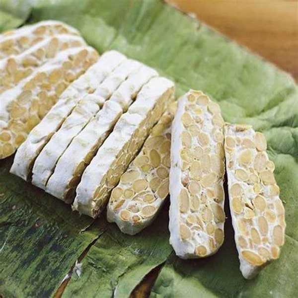 Tempeh Starter Etsy