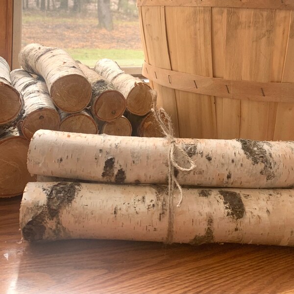 White Birch Logs Etsy