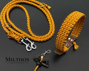 Paracord dog leash and collar, sold individually or as a set with poop bag holder | "Basic" apricot orange | Custom made | Various fittings