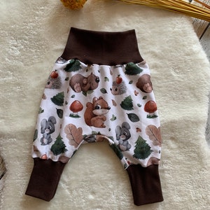 Bloomers baby cute forest animals