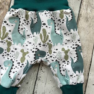 Dino bloomers