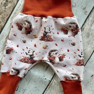 Può includere: Pantaloni per neonati con sfondo color crema chiaro e un motivo ripetuto di ricci, lumache, mele e foglie autunnali. Il capo presenta un'ampia fascia in vita color arancio bruciato e polsini alle caviglie in tinta unita.