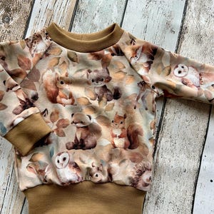 Könnte beinhalten: Beiges Sweatshirt mit Waldtierdruck. Das Design zeigt Eichhörnchen, Eulen, Füchse und andere Waldtiere zwischen Herbstblättern. Die Bündchen, der Halsausschnitt und der Saum sind einfarbig braun.
