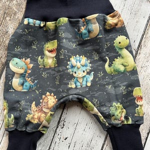 Baby Dino bloomers