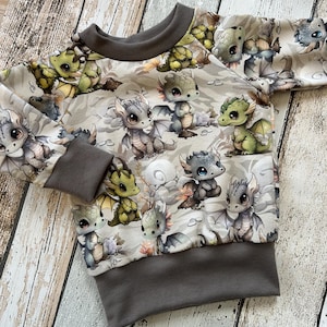 Könnte beinhalten: Ein langärmliges Sweatshirt mit Rundhalsausschnitt und einem sich wiederholenden Muster von Zeichentrickdrachen in Grün-, Grau- und Brauntönen. Die Bündchen, der Halsausschnitt und der Saum sind in Dunkelgrau gehalten. Der Hintergrund ist hellgrau mit einem dezenten Wolkenmuster.