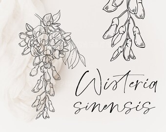 Wisteria Svg Etsy