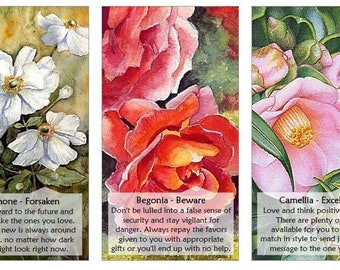 Flowers oracle deck. Watercolor  art
