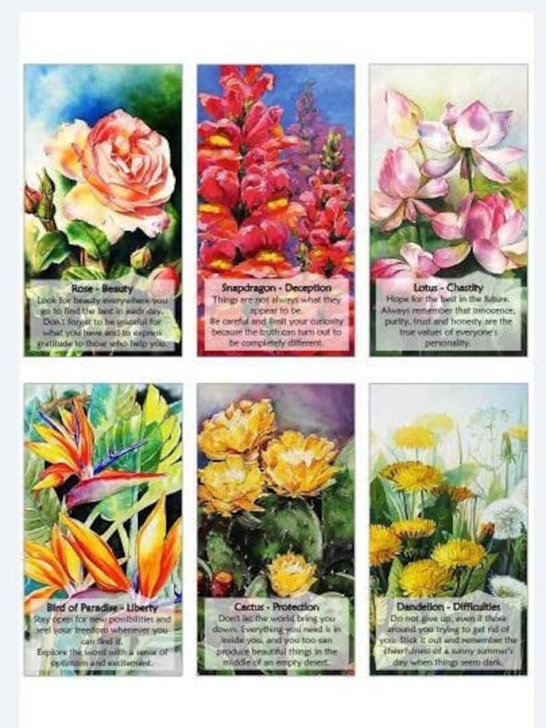 Flowers Oracle Deck. Watercolor Art Etsy