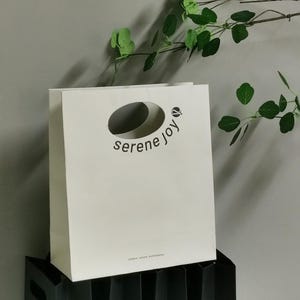 10 PCS Paper Bags , Personalized Bulk Business Favor Bag with logo, Wedding Gift Bag