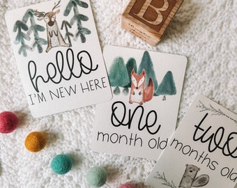 Woodland Animal Baby Monthly Milestone Cards | Monthly Growth Baby Photos | Gift for New Mom | Baby Shower Gift | Baby Month Photo Signs