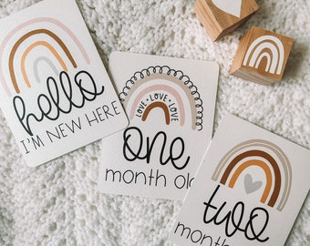 Rainbow Baby Monthly Milestone Cards | Monthly Growth Baby Photos | Gift for New Mom | Baby Shower Gift | Baby Month Photo Signs