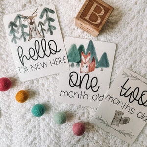 Woodland Animal Baby Milestone Cards: Monthly Photo Props