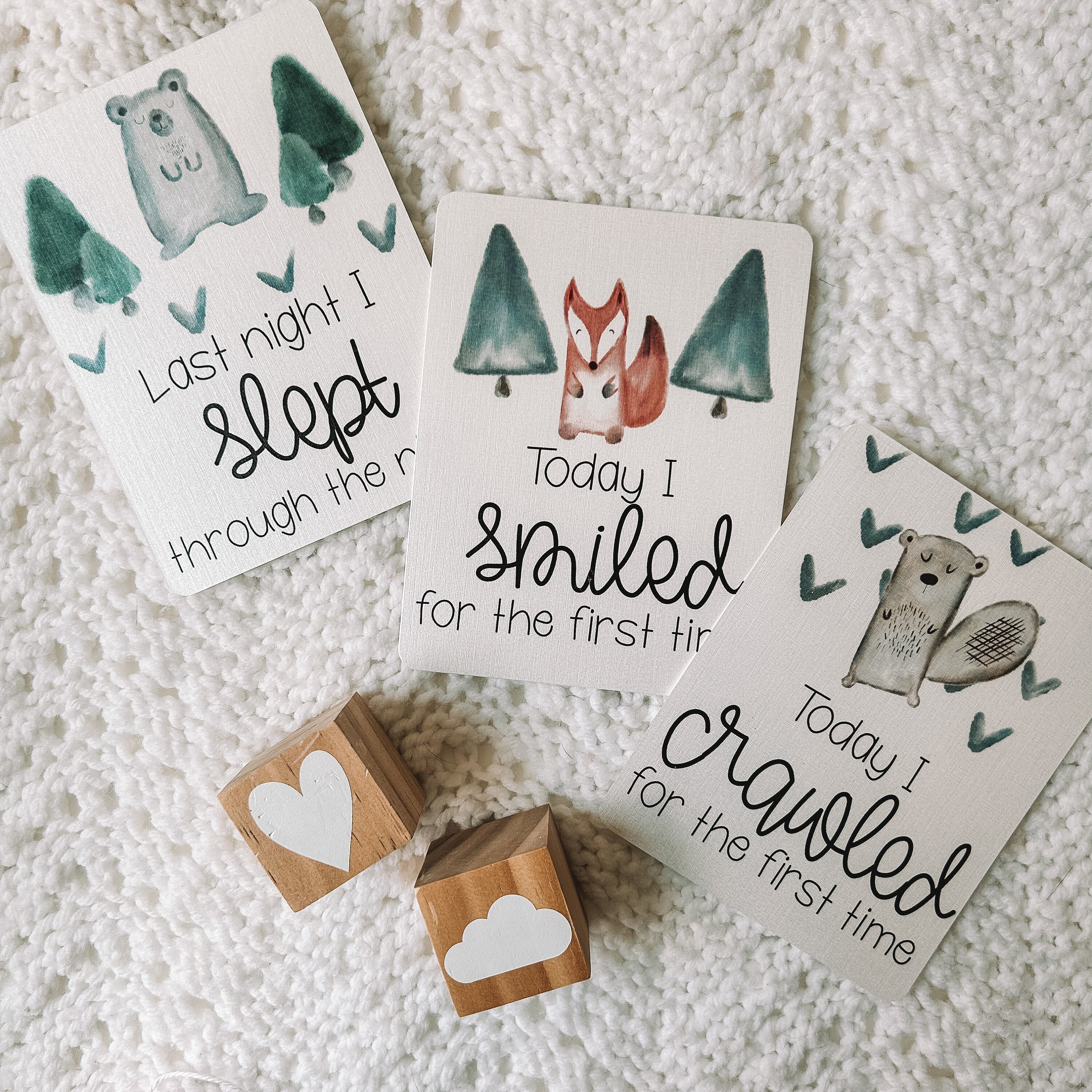 Woodland Animal Baby Milestone Cards: Monthly Photo Props - Etsy