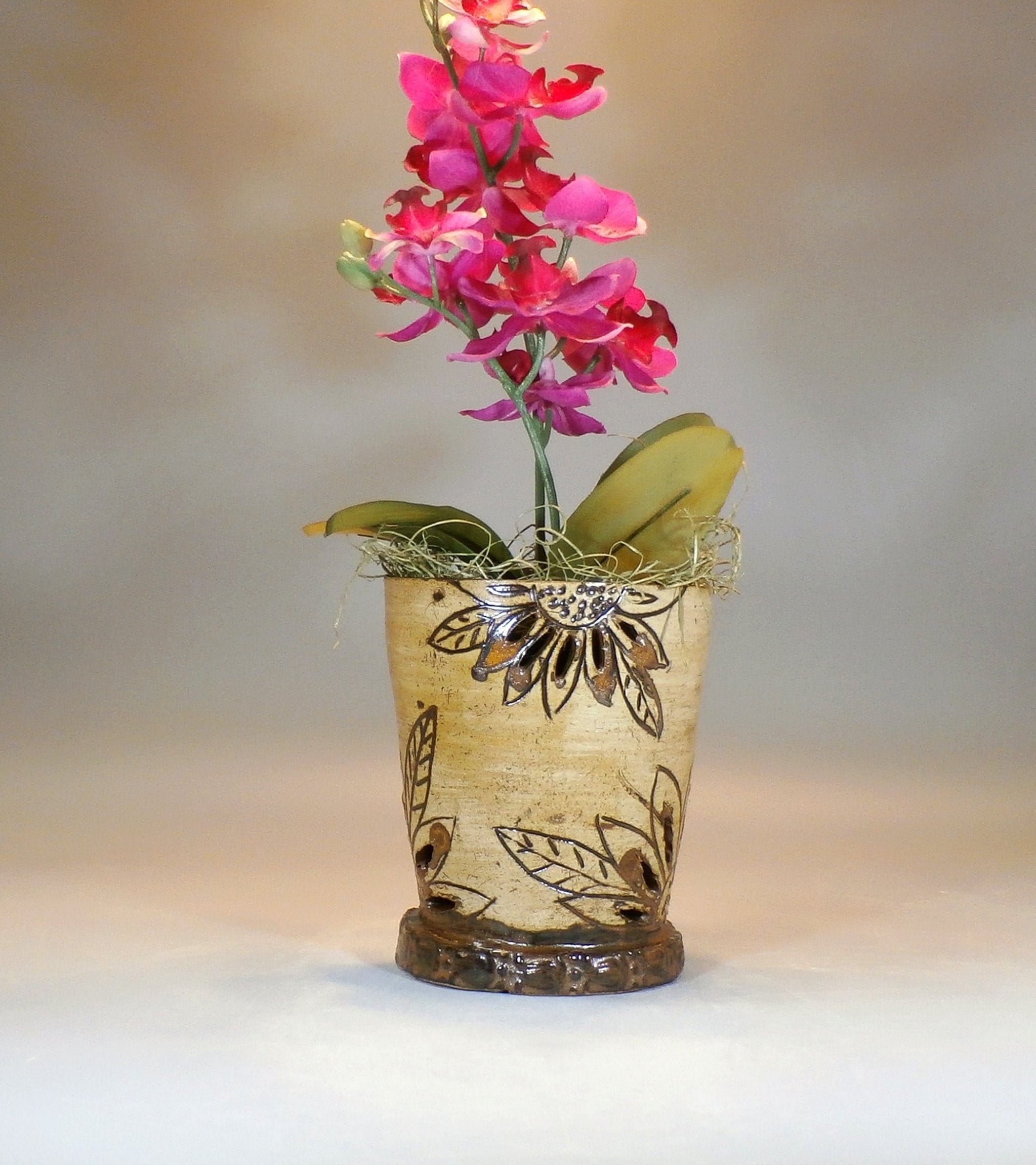 unusual orchid pots