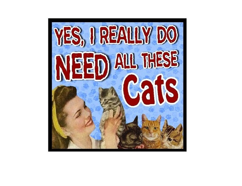 Puede incluir: Un letrero cuadrado con fondo azul claro y un patr&oacute;n de huellas en azul oscuro. El texto dice YES, I REALLY DO NEED ALL THESE CATS en letras rojas. Una ilustraci&oacute;n muestra a una persona con una cinta amarilla sosteniendo un gatito gris.