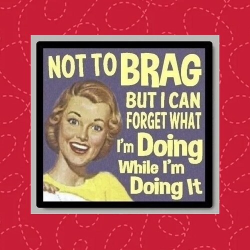 Funny Retro Magnet | Not To Brag | Vintage Humor | Home and Office Decor