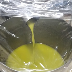5lt Greek Thassos Pure Organic Extra Virgin Olive Oil High Phenolic Cold Pressed