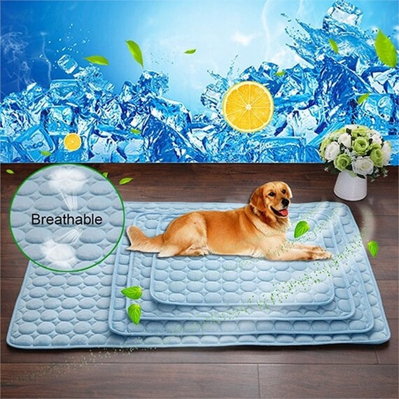 sleeping mat for dogs